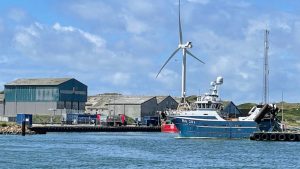 Trawleren »Elin« lander 230 tons tobis i Hvide Sande foto: FiskerForum.dk