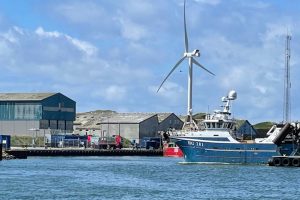 Trawleren »Elin« lander 230 tons tobis i Hvide Sande foto: FiskerForum.dk