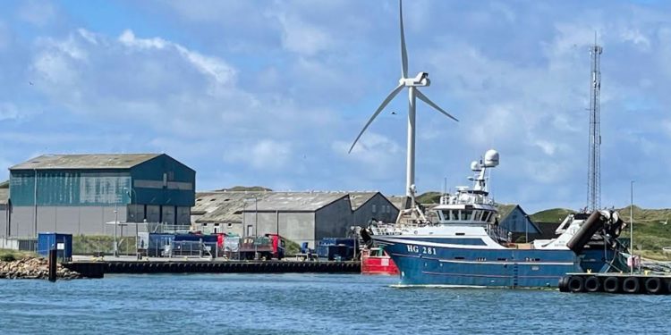 Trawleren »Elin« lander 230 tons tobis i Hvide Sande foto: FiskerForum.dk