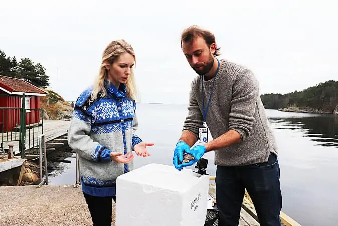 Read more about the article Kunstig intelligens benyttes i dag i Havforskningen langs Syd-kysten af Norge