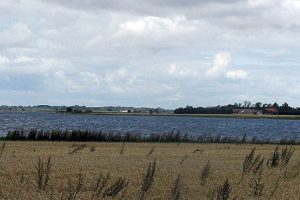 NaturErhvervsstyrelsen bortforklarer populisme.  Arkivfoto: Odense Fjord - Wikip