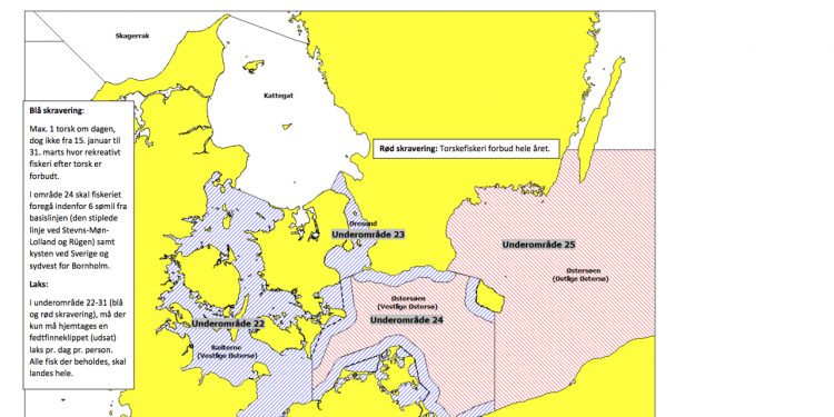 begrænsningerne for lyst- og fritidsfiskeriet i danmark fortsætter i 2023 - foto: Fiskeristyrelsen