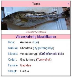 Latinske fisk på plakaten  foto: Wikipedia