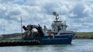 Det fortæller skipper på den 24 meter lange trawler HG 281 »Elin« Johny Pedersen. foto Fiskerforum.dk