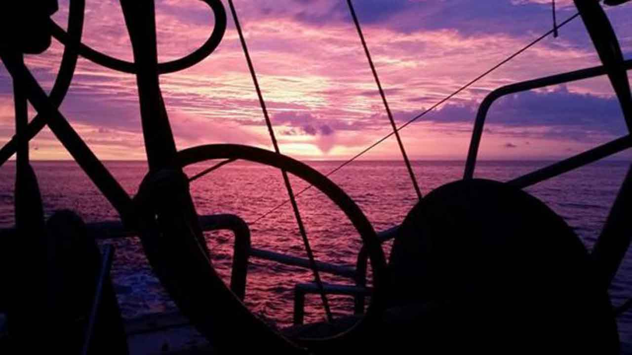 Read more about the article Effekten af det trawlforbud der forligger er tvivlsomt, siger DTU-forsker