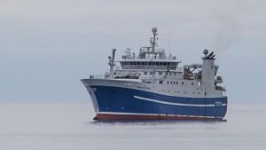 I Ánirnar landede trawleren Norðborg 1.370 tons frossen sild og  1.110 tons sildefilet samt 200 tons fiskeolje og 290 tons fiskemel plus 260 tons helfrossen sild.  foto: Kiran J