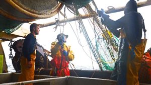 Fiskerikomiteen i Bretagne (CRPMEM Bretagne - Comité Régional des Pêches Maritimes et des Élevages Marins de Bretagne), som repræsenterer og varetager interesserne for fiskerisektoren i Bretagne, Frankrig, har svaret igen på kritikken af branchen og fastslår, at de teknologiske fremskridt inden for trawlfiskeri gør de fremsatte anklager ugyldige. foto: trawlfiskeri