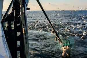 Ambitiøs SVM-plan for klimaet og miljøet, men fiskeriet får også et par ord med på vejen foto: FiskerForum.dk