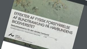 Det må være det man i fodboldsproget kalder en sejr på 1-0 til fiskeriet, over den, af andre forskere, meget kritiserede trawlrapport fra DCE, som både miljøministeren og miljøorganisationerne har brugt i deres argumentation imod bundslæbende redskaber. snapshot