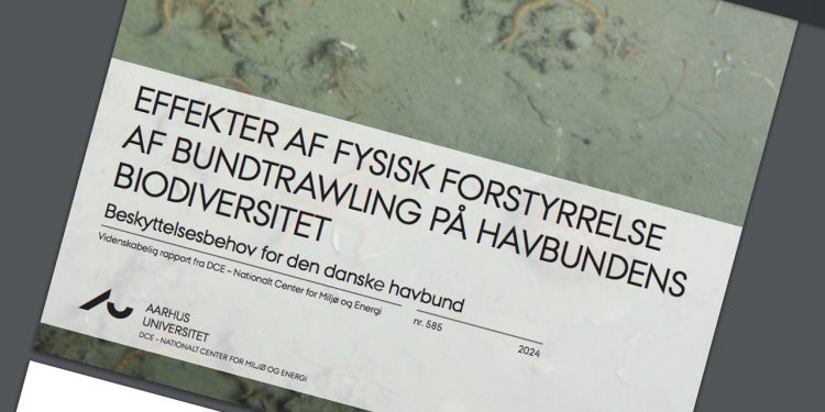 Det må være det man i fodboldsproget kalder en sejr på 1-0 til fiskeriet, over den, af andre forskere, meget kritiserede trawlrapport fra DCE, som både miljøministeren og miljøorganisationerne har brugt i deres argumentation imod bundslæbende redskaber. snapshot