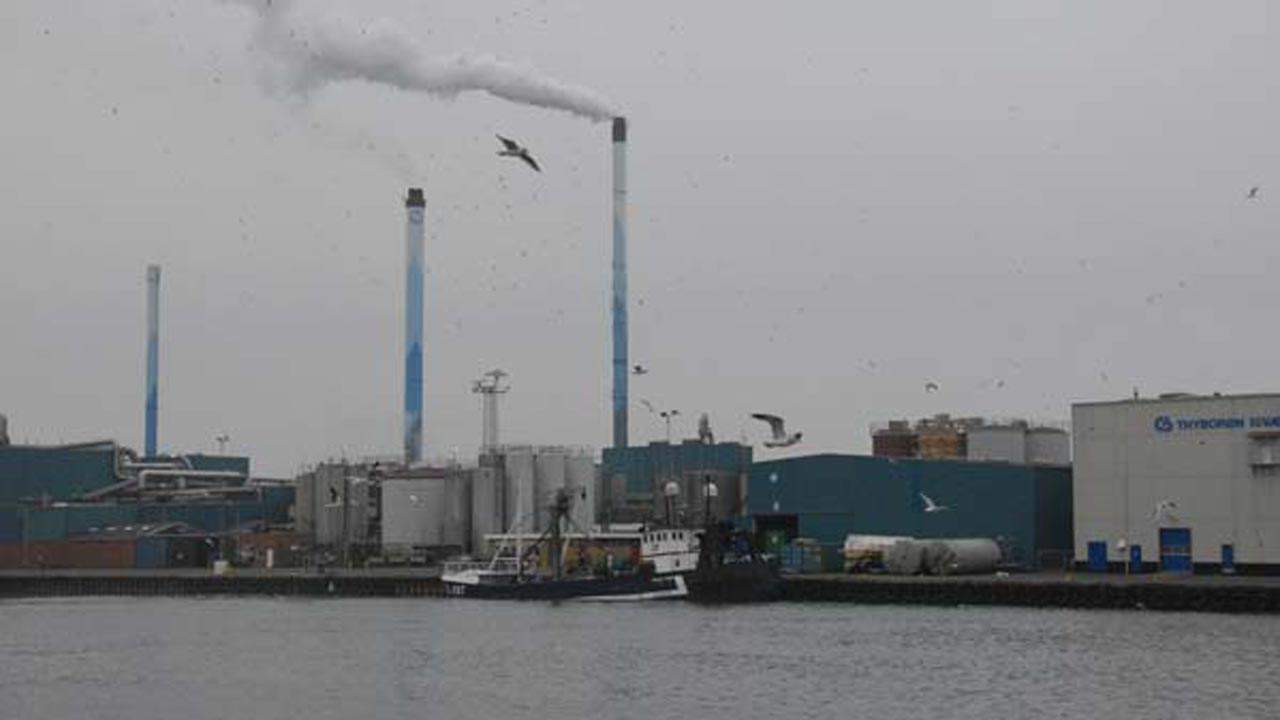 Read more about the article Co2-afgifter rammer de danske fiskemelsfabrikkerne hårdt