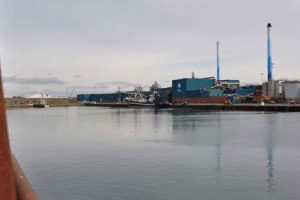 Færøerne: Dansk fiskemelsfabrik modtager blåhvilling fra færøske trawlere. foto: TripleNine Thyborøn FiskerForum.dk