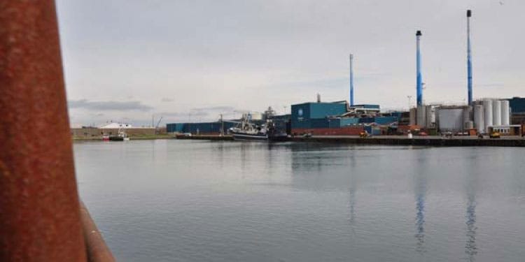 Read more about the article Færøerne: Dansk fiskemelsfabrik modtager blåhvilling fra færøske  trawlere