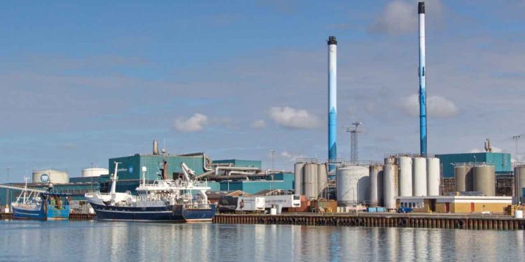 Mens danske havne som Thyborøn og Hanstholm oplever et fald i landingerne, blomstrer aktiviteten i Egersund. foto: Terje Engø Fiskerimagasinet.no
