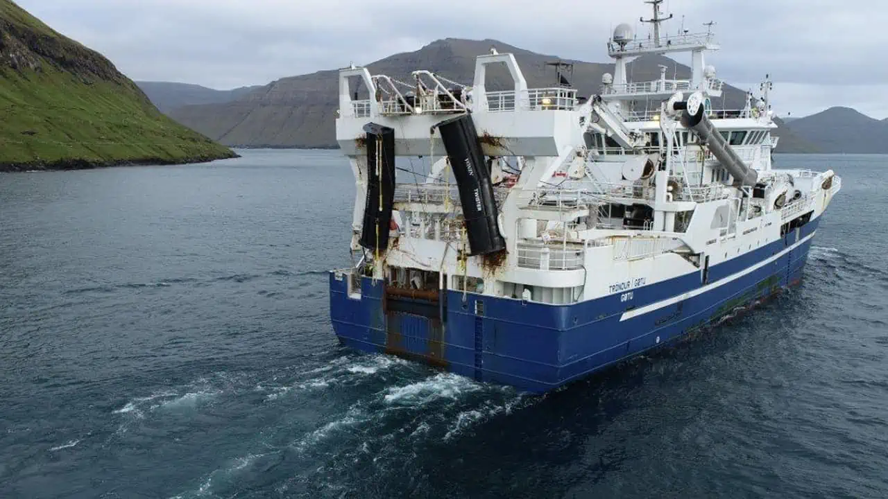 Read more about the article Færøske trawlere har fisket efter blåhvilling syd for Færøerne med et godt resultat