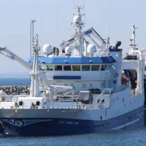 I Danmark landede den færøske trawler Tróndur í Gøtu landede i sidste uge en last på 2.400 tons blåhvilling ved FF i Skagen. fotograf: Jóan Pauli í Geil - Fiskur.fo