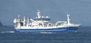 I Tvøroyri har Varðin Pelagic modtaget flere betydelige landinger. **Tróndur í Gøtu** kom ind med 940 tons til konsum foto: GN Fiskur.fo