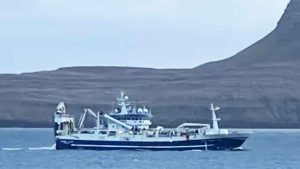 I Tvøroyri har Tróndur í Gøtu landet 800 tons efter en tur med fint fiskeri. foto: BWM Fiskur.fo