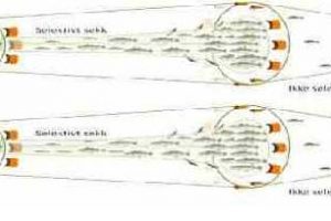SINTEF forskere ser lovende perspektiver for flydetrawl.  Prototype fra Sintef