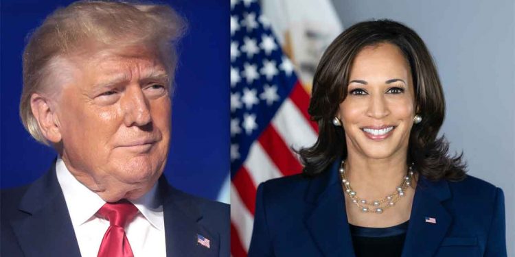 Uanset om Donald Trump eller Kamala Harris vinder valget, står det klart, at den nye amerikanske præsident vil få betydelige konsekvenser for den danske maritime sektor, også kendt som Det Blå Danmark, skriver Fhv. forsvarsminister (V), fhv. direktør, Danske Havne, selvstændig rådgiver Gitte Lillelund Bech foto: wikip - FiskerForum.dk