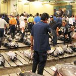 »Toyosu« er nu Verdens Største Fiskemarked  Foto: fra det tidligere så berømte og verdens største fiskemarked »Tsukiji« i Tokyo - Wikipedia
