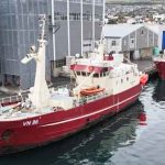 Et godt garnfiskeri på Færøerne, viser at hellefisken fortsat er en vigtig art i det nordatlantiske fiskeri. Fartøjet **Túgvusteinur** har i denne uge landet en fangst på cirka 18,5 tons i Tórshavn, hvor hovedparten bestod af hellefisk. foto: Kiran J