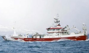 Nyt fra Færøerne uge 23 - foto: »Tummas T« landede 1300 tons blåhvilling i Fuglefjord - KiB
