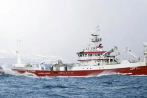 Nyt fra Færøerne uge 23 - foto: »Tummas T« landede 1300 tons blåhvilling i Fuglefjord - KiB