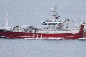 I Norge blev der landet store mængder sild i flere havne. **Tummas T** landede i ugens løb 1.025 tons sild i Florø. foto: Kiran J