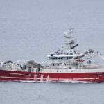 Det færøske fartøj »Tummas T« har i denne uge anløbet Kollefjord for at lande en pæn last guldlaks på 93 tons. Meldingerne fra feltet lyder på et fornuftigt fiskeri under turen i færøsk farvand. foto: Kiran J