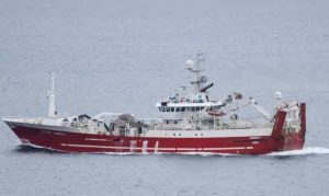 Det færøske fartøj »Tummas T« har i denne uge anløbet Kollefjord for at lande en pæn last guldlaks på 93 tons. Meldingerne fra feltet lyder på et fornuftigt fiskeri under turen i færøsk farvand. foto: Kiran J