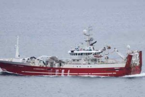 Det færøske fartøj »Tummas T« har i denne uge anløbet Kollefjord for at lande en pæn last guldlaks på 93 tons. Meldingerne fra feltet lyder på et fornuftigt fiskeri under turen i færøsk farvand. foto: Kiran J