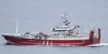 Det færøske fartøj »Tummas T« har i denne uge anløbet Kollefjord for at lande en pæn last guldlaks på 93 tons. Meldingerne fra feltet lyder på et fornuftigt fiskeri under turen i færøsk farvand. foto: Kiran J