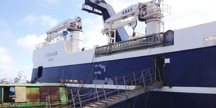 Rekordstor hellefisk-fangst af grønlandsk trawler.  Foto: Tuugaalik - FiskerForum.com