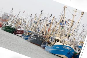 Fredag var de igen samlet til modstand mod EU Kommissionens forslag og for at påvirke EUs fiskeriministre, der igen fredag holdt møde i Büsum. foto: fb privat