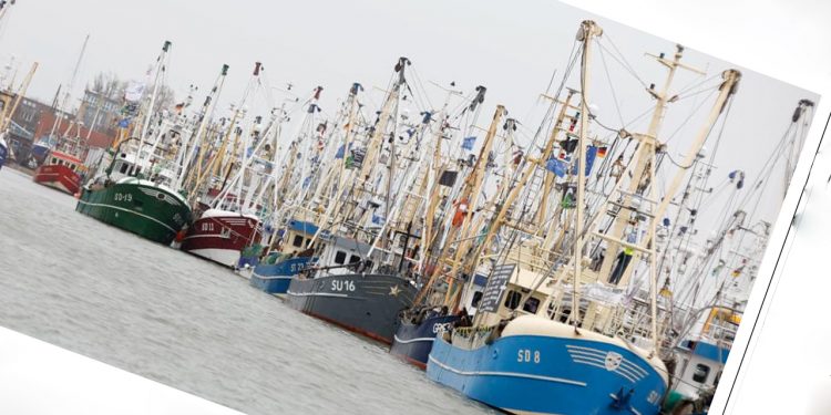 Fredag var de igen samlet til modstand mod EU Kommissionens forslag og for at påvirke EUs fiskeriministre, der igen fredag holdt møde i Büsum. foto: fb privat