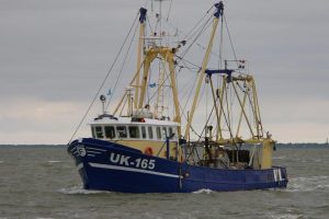 UK 165 »Lummezne« er sunket ud for den hollandsk vestkyst nær ved Øen Texel og Nordholland