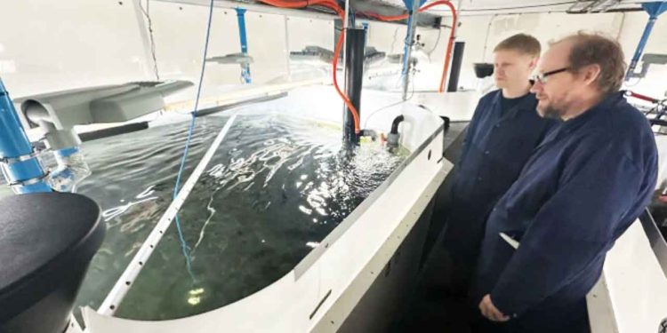 Forskere har opdaget, at UVB-lys kan få laks til at danne langt mere D-vitamin – men konstant lys døgnet rundt kan også give problemer for fiskens trivsel. foto: Oystein Klakegg - Forskning.no