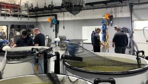 uddannelsestilbud akvakultur - EUC Nordvest