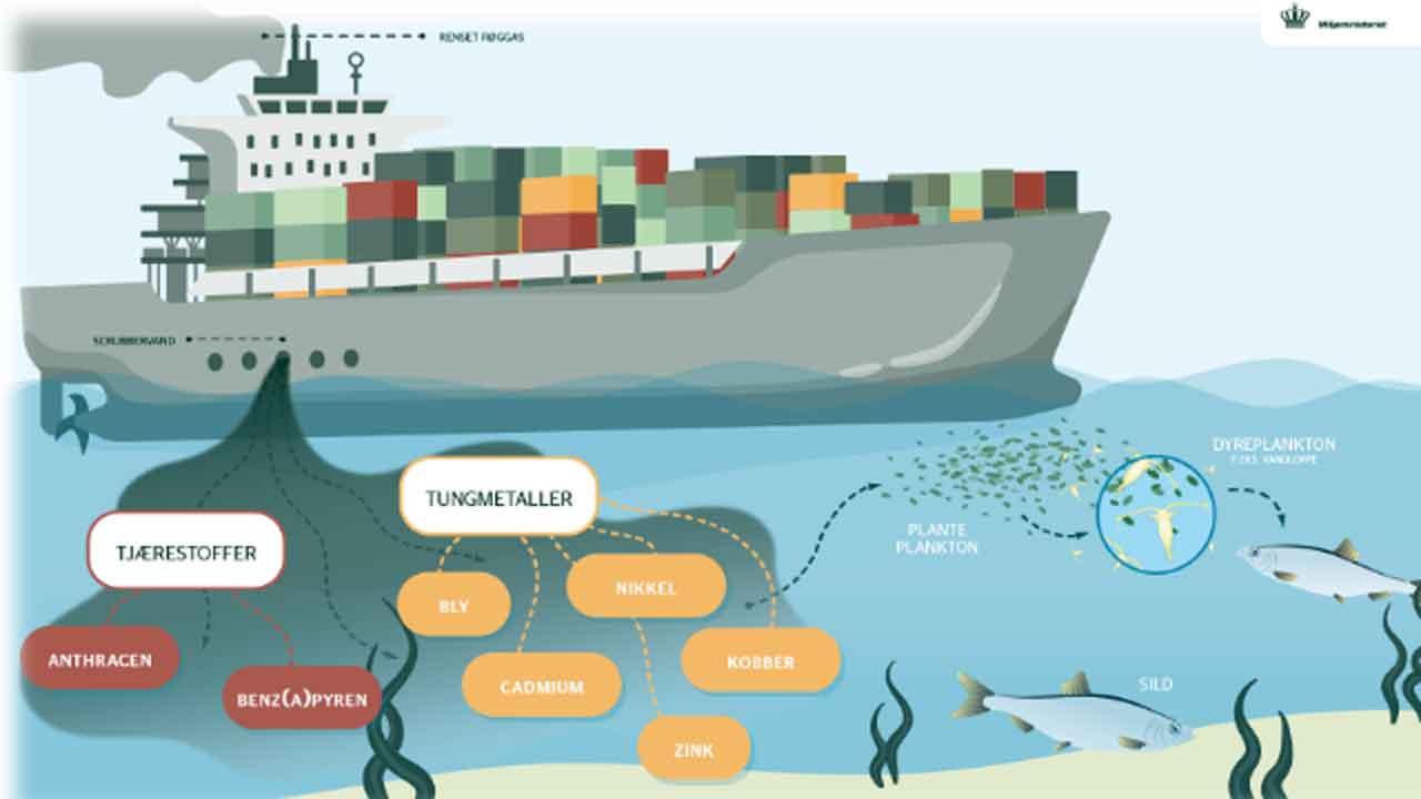 Read more about the article Forbud mod forurenende skibsvand træder i kraft i Danmark fra juli 2025