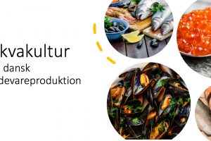 Dansk Akvakultur går i Fødevareudvalget med en udviklingsplan for dansk akvakultur. foto: Dansk Akvakultur