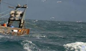 Fiskeriforhandlingerne mellem EU og Grønland er gået i fisk