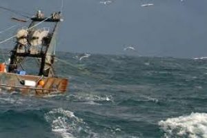 Fiskeriforhandlingerne mellem EU og Grønland er gået i fisk