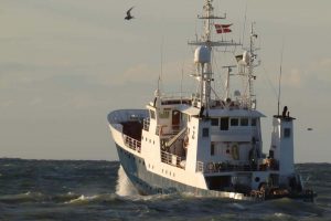 »Vestkysten« har fortaget en »Gallupundersøglse i Kattegat blandt fiskerne.