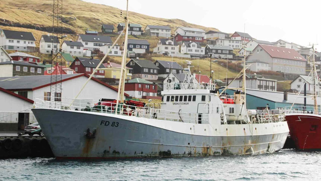 Read more about the article Færøerne: Gode torskefangster landet på Eysturoy