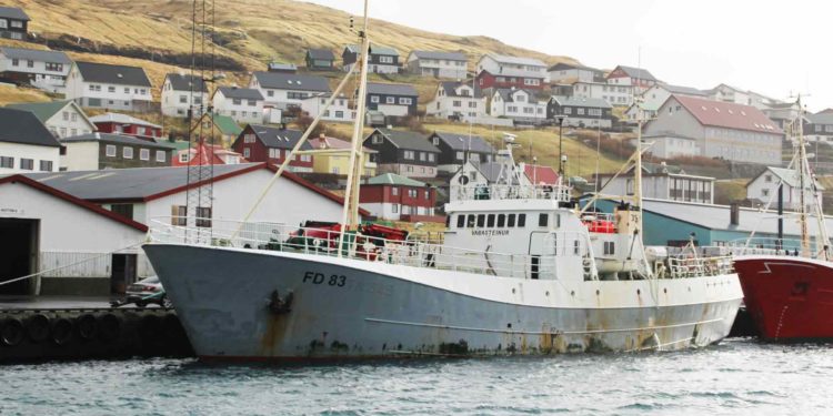 Færøerne: Landinger fra den travle havn i Toftir