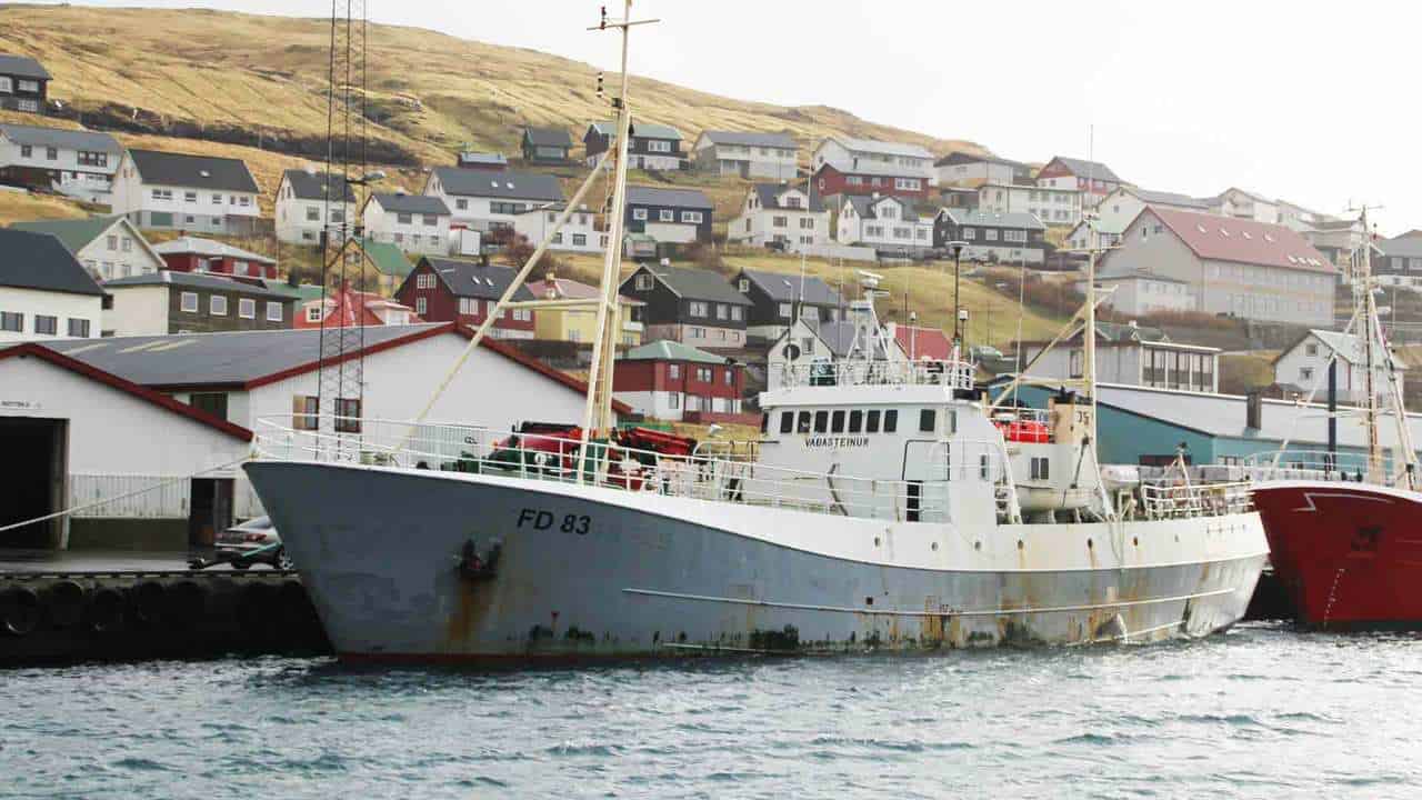 Read more about the article Færøerne: Landinger fra den travle havn i Toftir