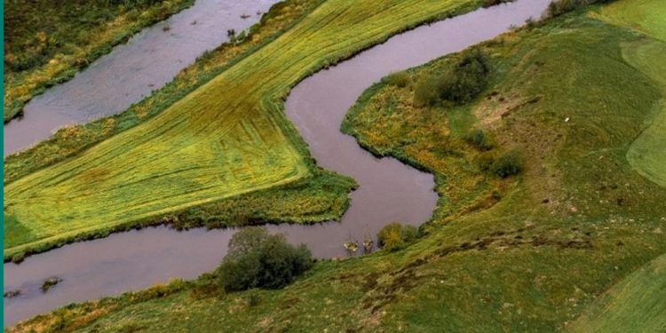 Godt 100 millioner kroner til genopretning af de danske vandløb foto: Fiskeristyrelsen