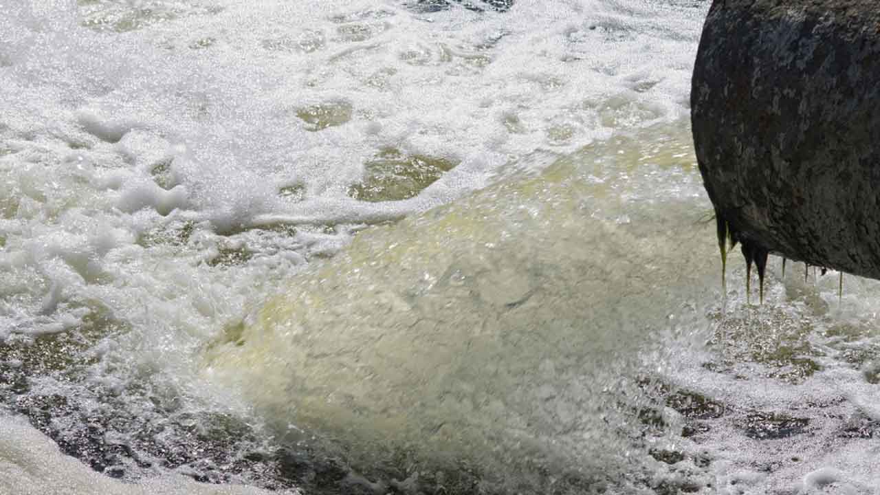 Read more about the article Når havet drukner i gode intentioner: kommunernes kloakseparering kan forværre miljøproblemet