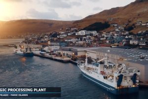 Færøerne: Industrifiskerne er trukket syd for de grønne øer foto: Vardin Pelagic Tvøroyri